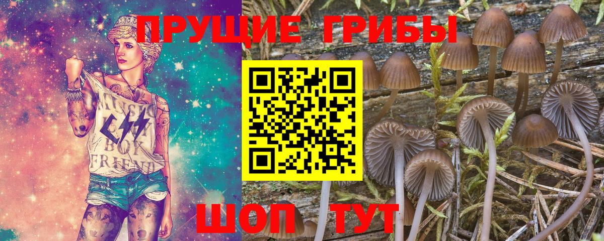 Псилоцибиновые грибы мухоморы  Вход с VPN  Красноуфимск 